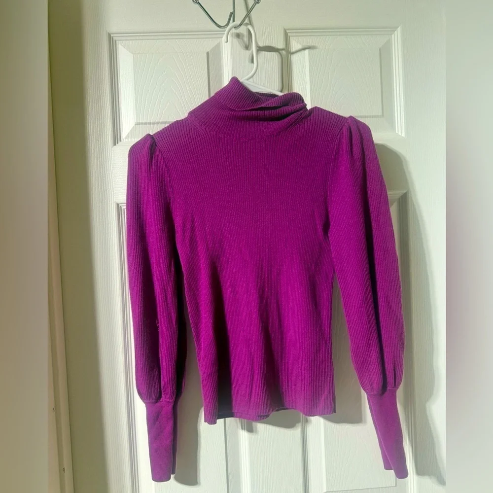 J. Crew 100% Merino Wool Turtleneck Sweater Size XS.